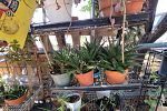 Sale Photo Thumbnail #21