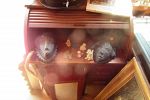 Sale Photo Thumbnail #30