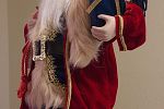 Sale Photo Thumbnail #11