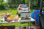 Sale Photo Thumbnail #19
