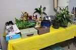 Sale Photo Thumbnail #29