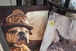 Sale Photo Thumbnail #17