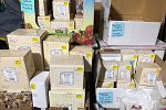 Sale Photo Thumbnail #14