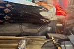 Sale Photo Thumbnail #36