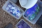 Sale Photo Thumbnail #26