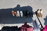 Sale Photo Thumbnail #16