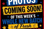 Sale Photo Thumbnail #2
