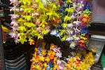 Sale Photo Thumbnail #32