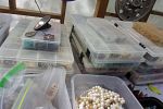 Sale Photo Thumbnail #17