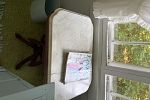 Sale Photo Thumbnail #54
