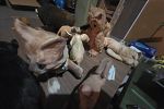 Sale Photo Thumbnail #53