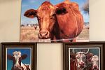 Sale Photo Thumbnail #17