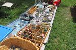 Sale Photo Thumbnail #54