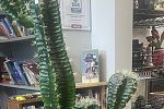 Sale Photo Thumbnail #9