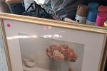 Sale Photo Thumbnail #91