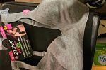 Sale Photo Thumbnail #24