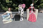 Sale Photo Thumbnail #7