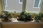 Sale Photo Thumbnail #20
