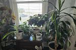 Sale Photo Thumbnail #29