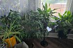 Sale Photo Thumbnail #28