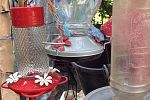 Sale Photo Thumbnail #7