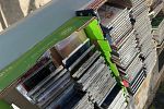 Sale Photo Thumbnail #44