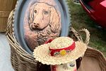 Sale Photo Thumbnail #15