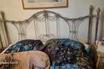 Sale Photo Thumbnail #23