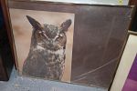 Sale Photo Thumbnail #57