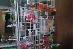 Sale Photo Thumbnail #145