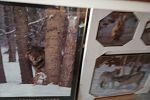Sale Photo Thumbnail #67