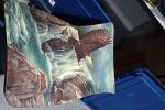 Sale Photo Thumbnail #51