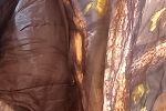 Sale Photo Thumbnail #183