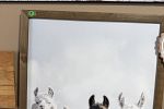 Sale Photo Thumbnail #23