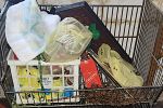 Sale Photo Thumbnail #14