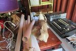 Sale Photo Thumbnail #82