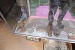 Sale Photo Thumbnail #51
