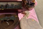 Sale Photo Thumbnail #33