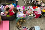 Sale Photo Thumbnail #14