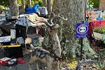 Sale Photo Thumbnail #40