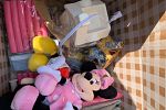 Sale Photo Thumbnail #9