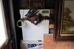 Sale Photo Thumbnail #18