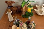 Sale Photo Thumbnail #36