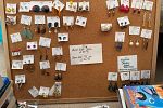 Sale Photo Thumbnail #9