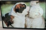 Sale Photo Thumbnail #53