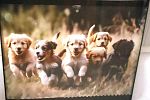 Sale Photo Thumbnail #24
