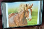 Sale Photo Thumbnail #44