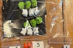 Sale Photo Thumbnail #34