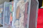 Sale Photo Thumbnail #7