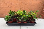 Sale Photo Thumbnail #5